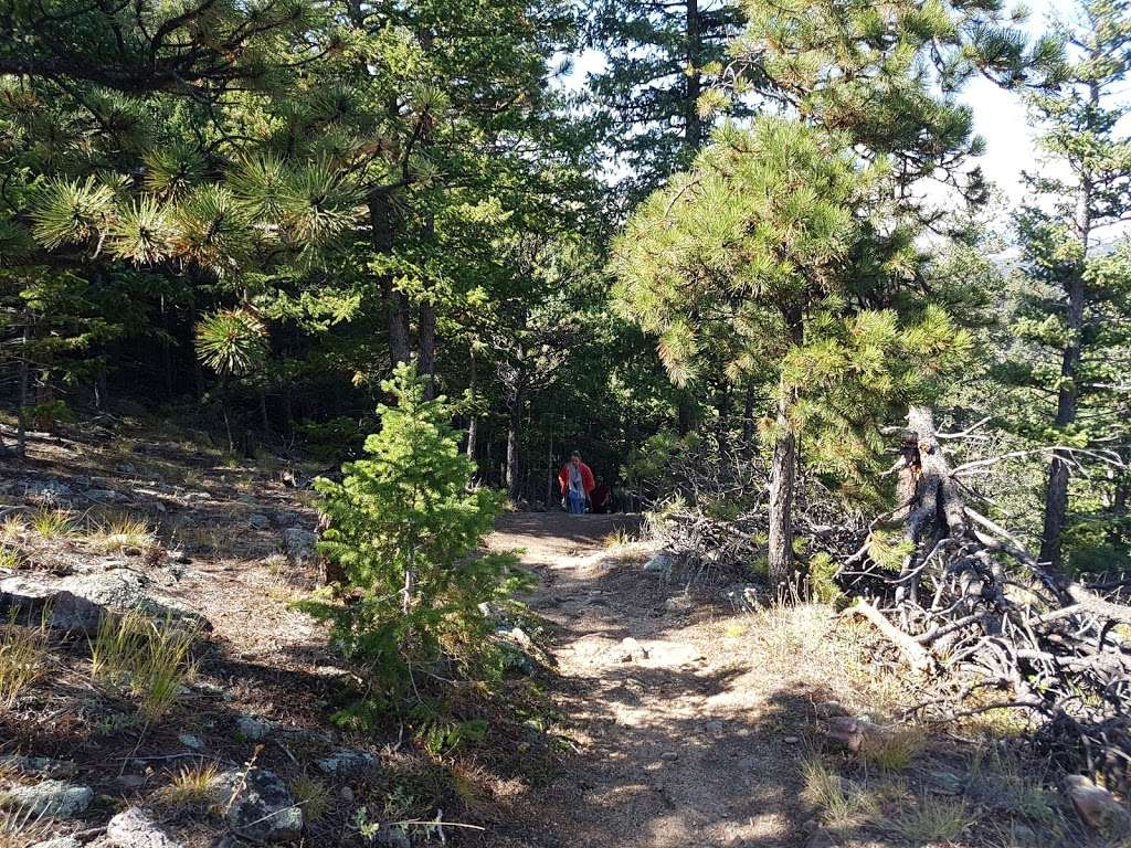 Stone Shelter, Flagstaff Summit | 1199 Flagstaff Summit Rd, Boulder, CO 80302, USA