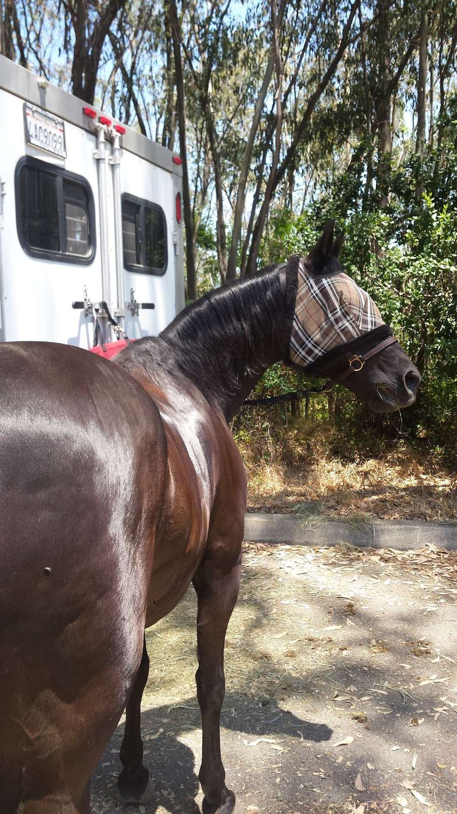 Triple Creek Horse Outfit | 2400 London Ranch Rd, Glen Ellen, CA 95442 | Phone: (707) 887-8700