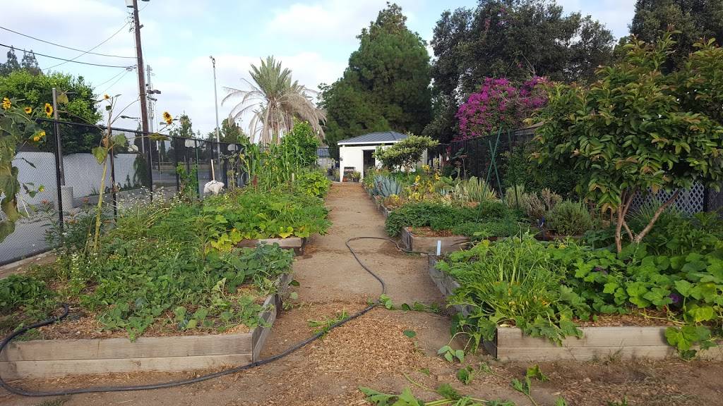 El Salvador Community Garden | 1851-1899 W 9th St, Santa Ana, CA 92703, USA | Phone: (714) 571-4253