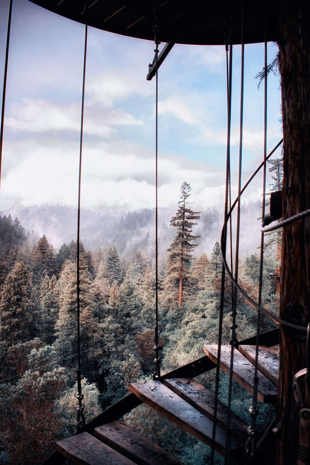 Sonoma Canopy Tours | 6250 Bohemian Hwy, Occidental, CA 95465, USA | Phone: (888) 494-7868