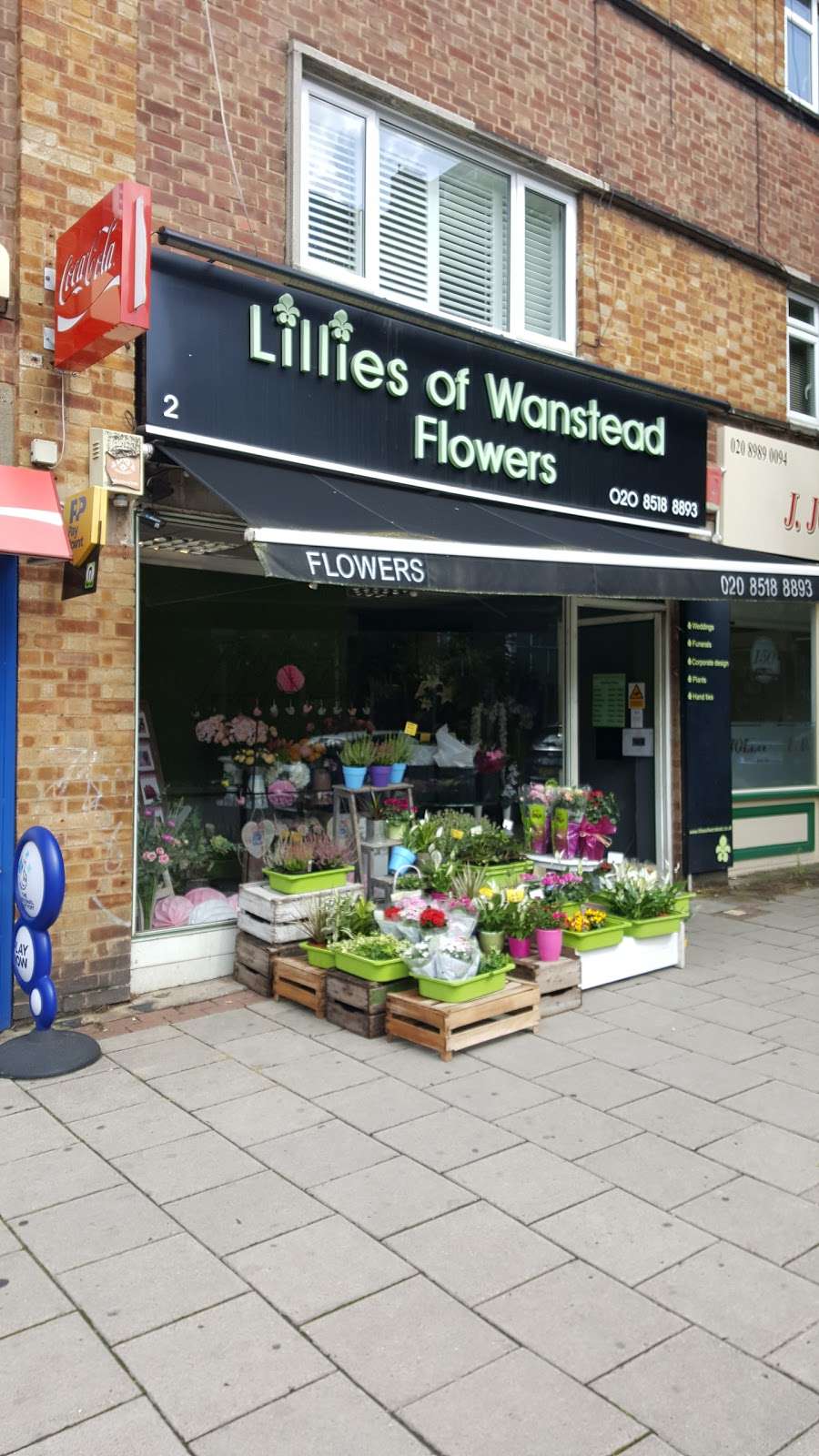 Lillies Of Wanstead | Gwynne House, High St, Wanstead, London E11 1QH, UK | Phone: 020 8518 8893