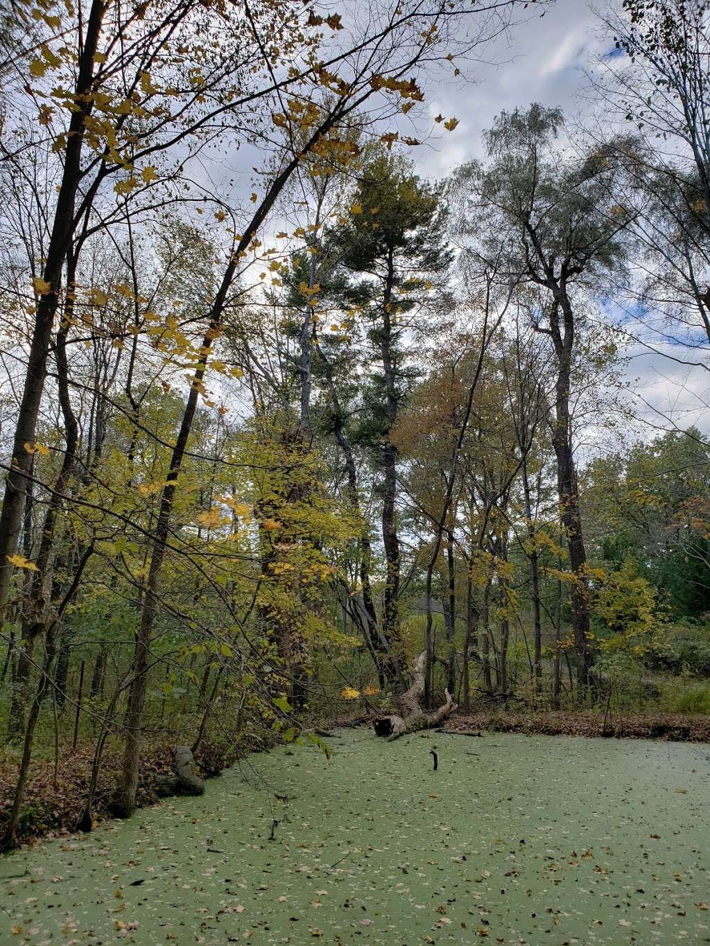 Acton Arboretum | 2 Taylor Rd, Acton, MA 01720, USA | Phone: (978) 264-9631