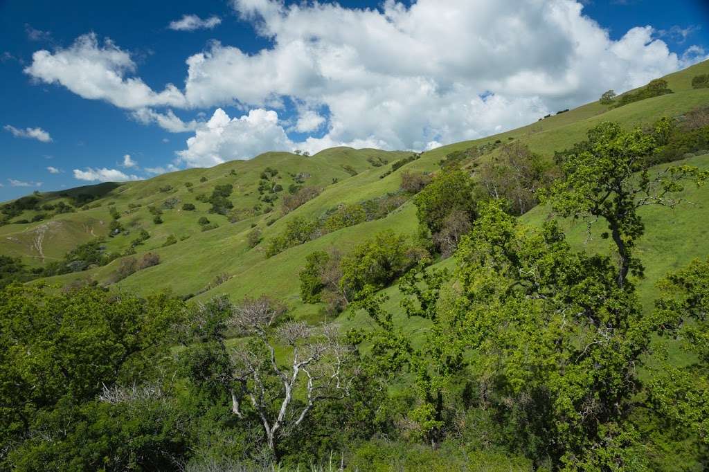 Hawks Nest Backpack Camp | Sunol, CA 94586, USA