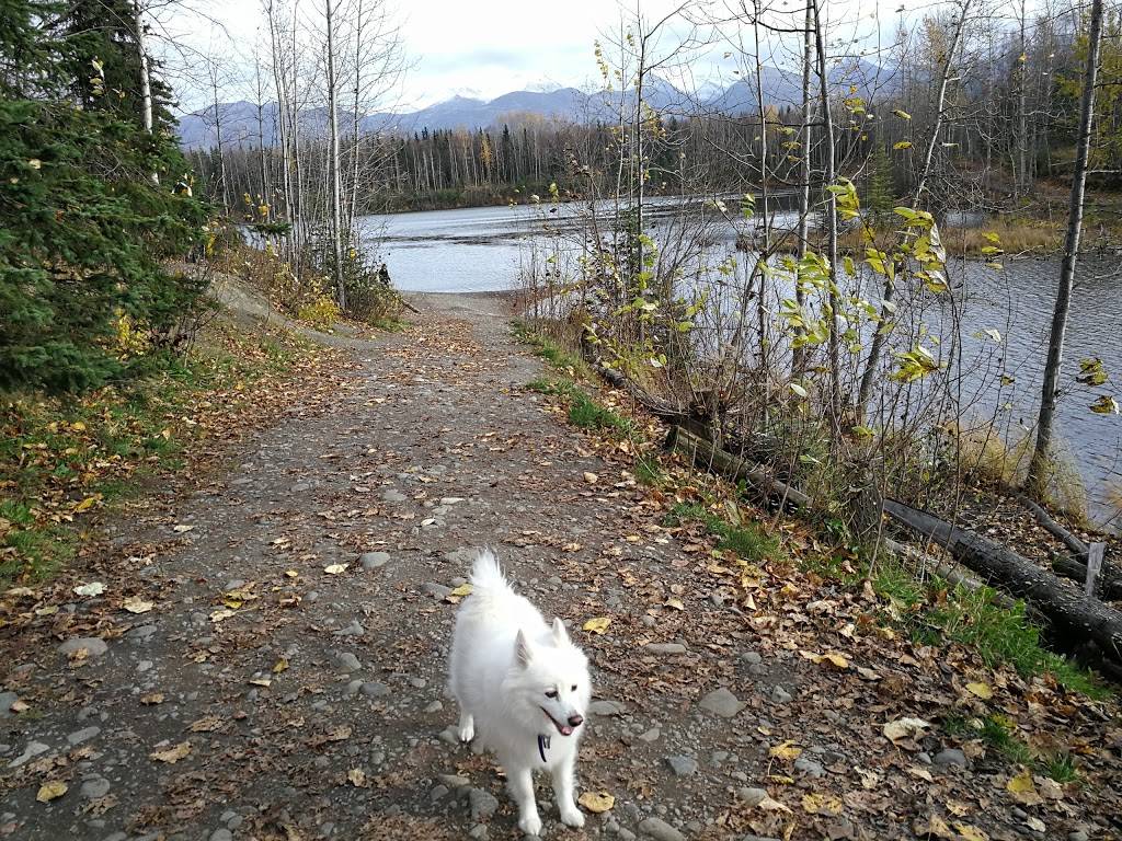 University Lake Dog Park | 4050 University Lake Dr, Anchorage, AK 99508 | Phone: (907) 343-4355