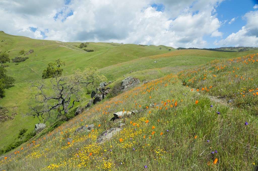 Sky Camp Backpack Camp | Sunol, CA 94586, USA