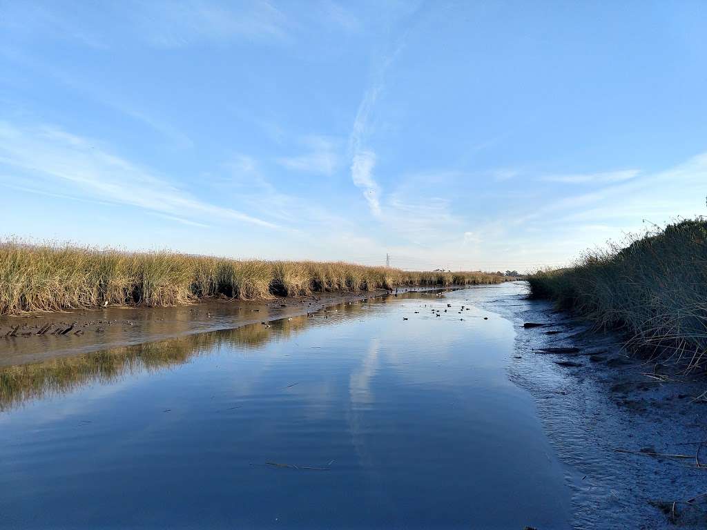 Don Edwards San Francisco Bay National Wildlife Refuge Environme | 1751 Grand Blvd, San Jose, CA 95002 | Phone: (408) 262-5513