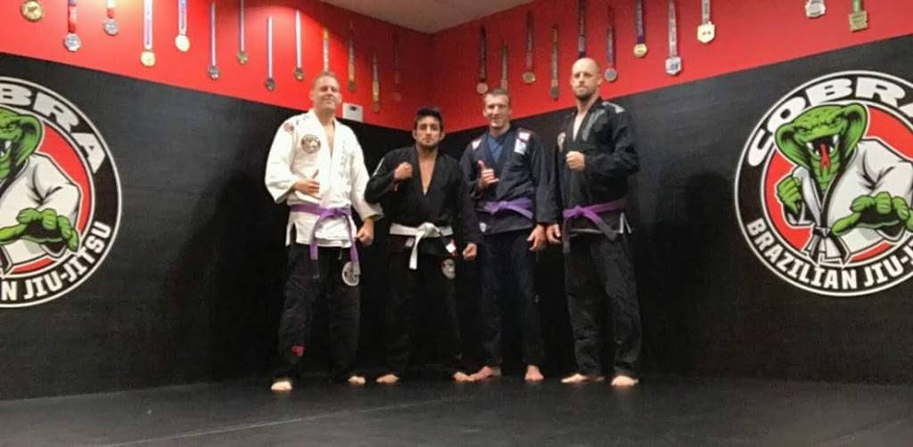 Cobra Brazilian Jiu Jitsu Mansfield | 1275 N Main St #411, Mansfield, TX 76063, USA | Phone: (682) 422-6456