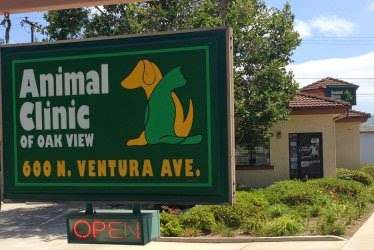 Animal Clinic of Oak View | 600 N Ventura Ave, Oak View, CA 93022 | Phone: (805) 649-4094