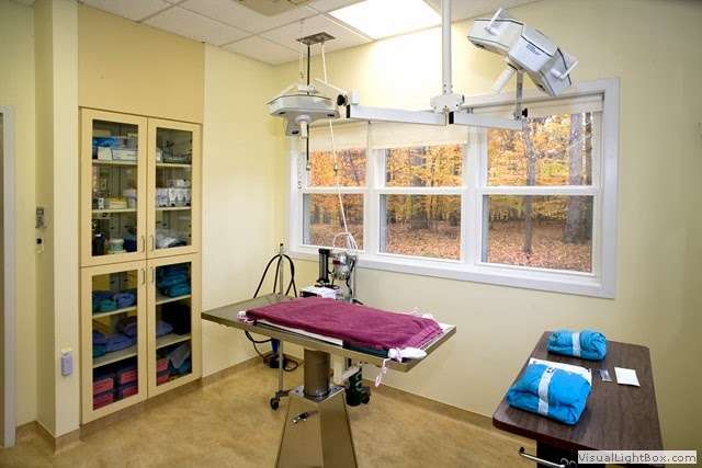 A Cat Clinic | 14200 Clopper Rd, Boyds, MD 20841 | Phone: (301) 540-7770