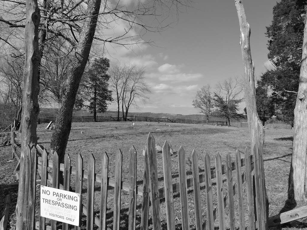 Pine Bank Cemetery | 130 Cemetery Rd, Gettysburg, PA 17325, USA