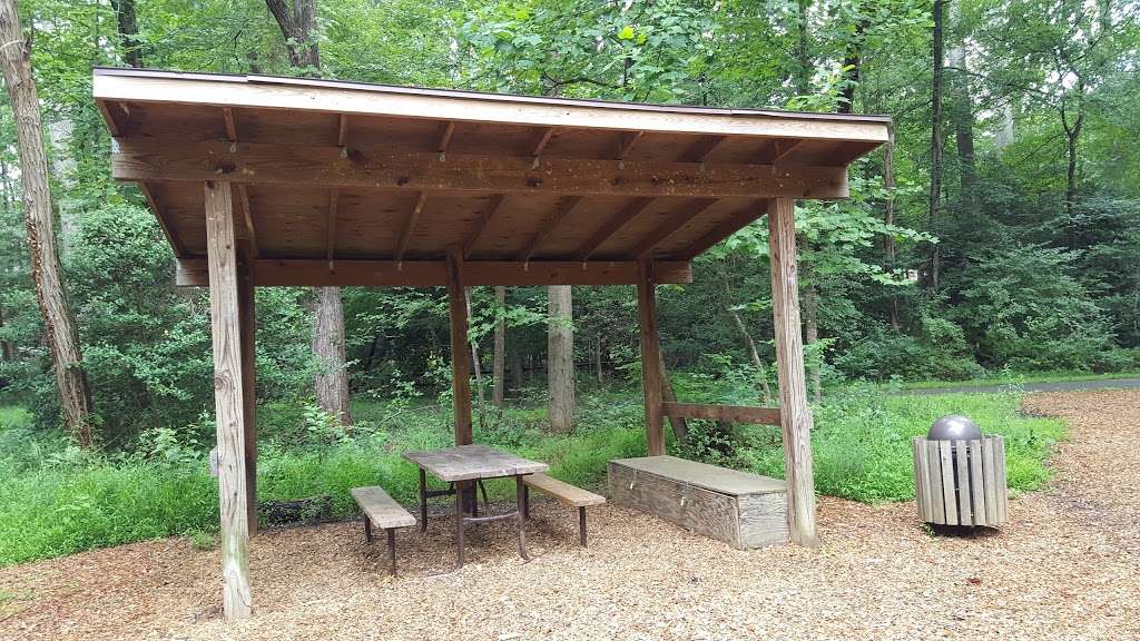 Walker Nature Center Campfire Ring | The Turquoise Trail, Reston, VA 20191