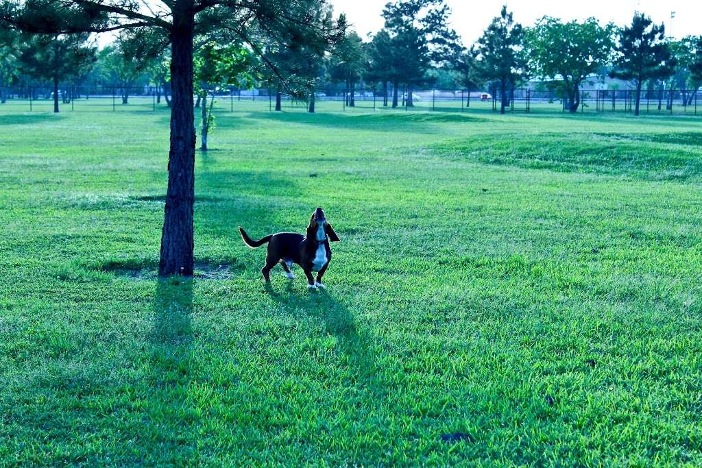 Jenkins Park Dog Park | Baytown, TX 77521, USA | Phone: (281) 420-6597