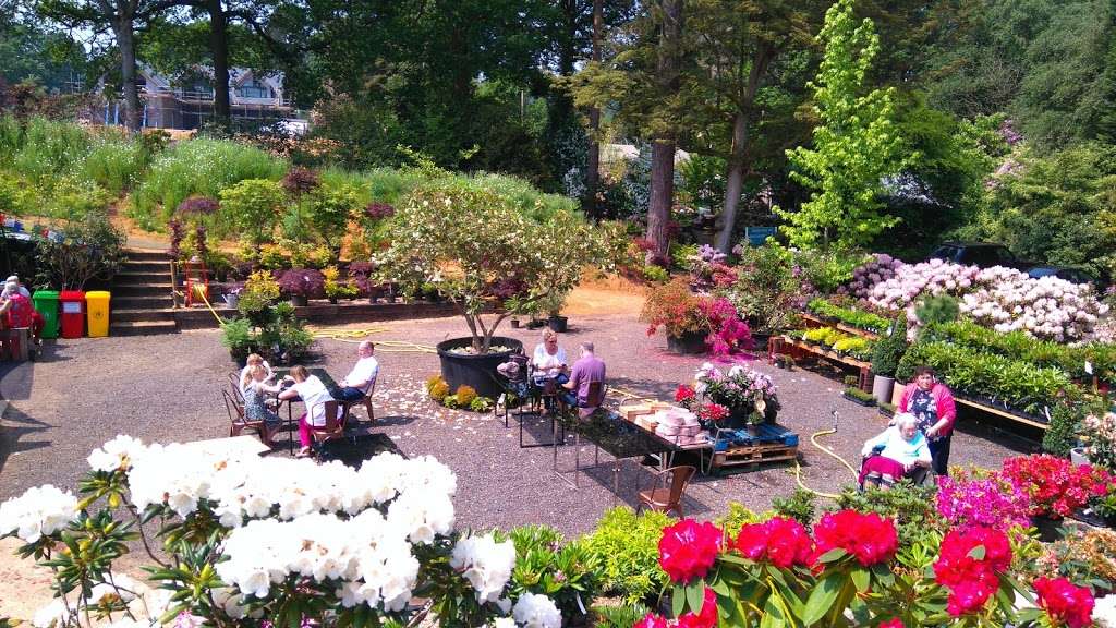 Reuthes Nursery & Gardens | Crown Point Nursery, Sevenoaks Rd, Seal Chart, Sevenoaks TN15 0HB, UK | Phone: 07415 555007