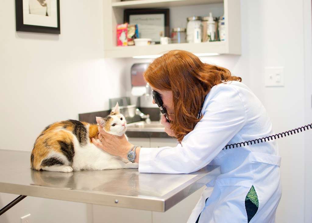 Carolina Pets Animal Hospital | 5922 Weddington Rd, Wesley Chapel, NC 28104 | Phone: (704) 220-0226