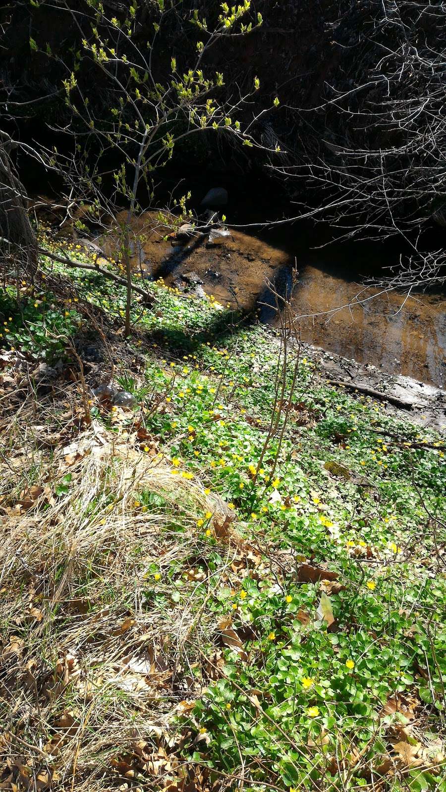 Kramer Park in 1950 Evelyn St, Scotch Plains, NJ 07076, USA