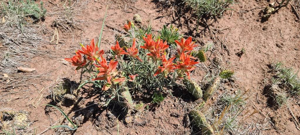 Aiken Canyon Preserve | 3350 Turkey Canon Ranch Rd, Colorado Springs, CO 80926, USA | Phone: (719) 576-4336