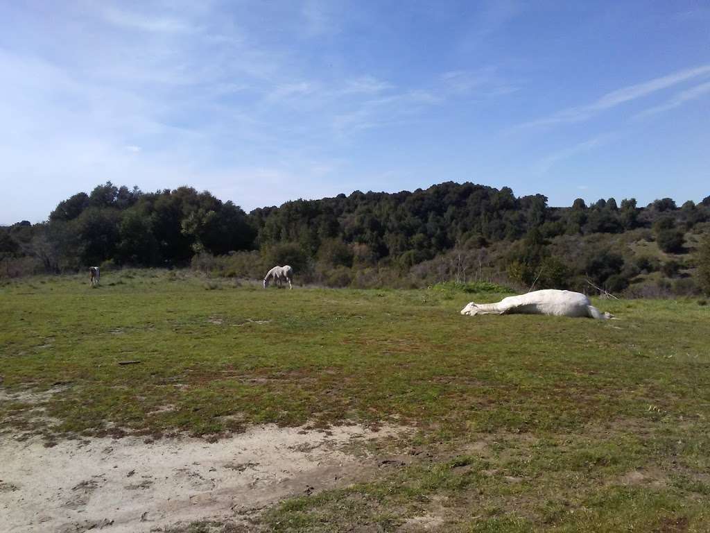 Columbia Trail | Unnamed Road, Castro Valley, CA 94552, USA