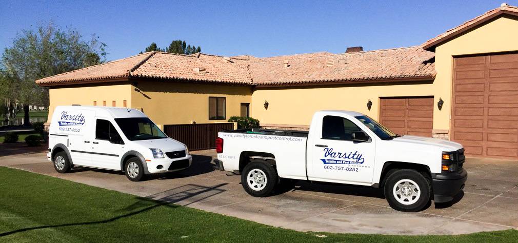 Varsity Termite and Pest Control | 2180 E Aris Dr, Gilbert, AZ 85298, USA | Phone: (480) 382-9900