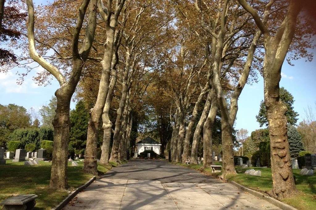 Temple Beth El Cemetery | 3351 NJ-33, Neptune City, NJ 07753, USA | Phone: (732) 531-4410