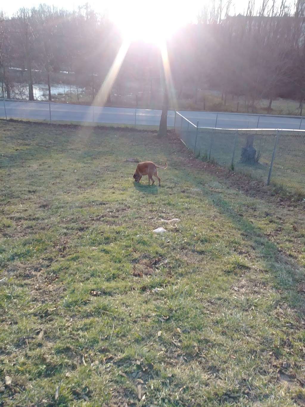 Bubbas Happy Tails Dog Park | 17257, Shippensburg, PA 17257, USA | Phone: (717) 532-7137