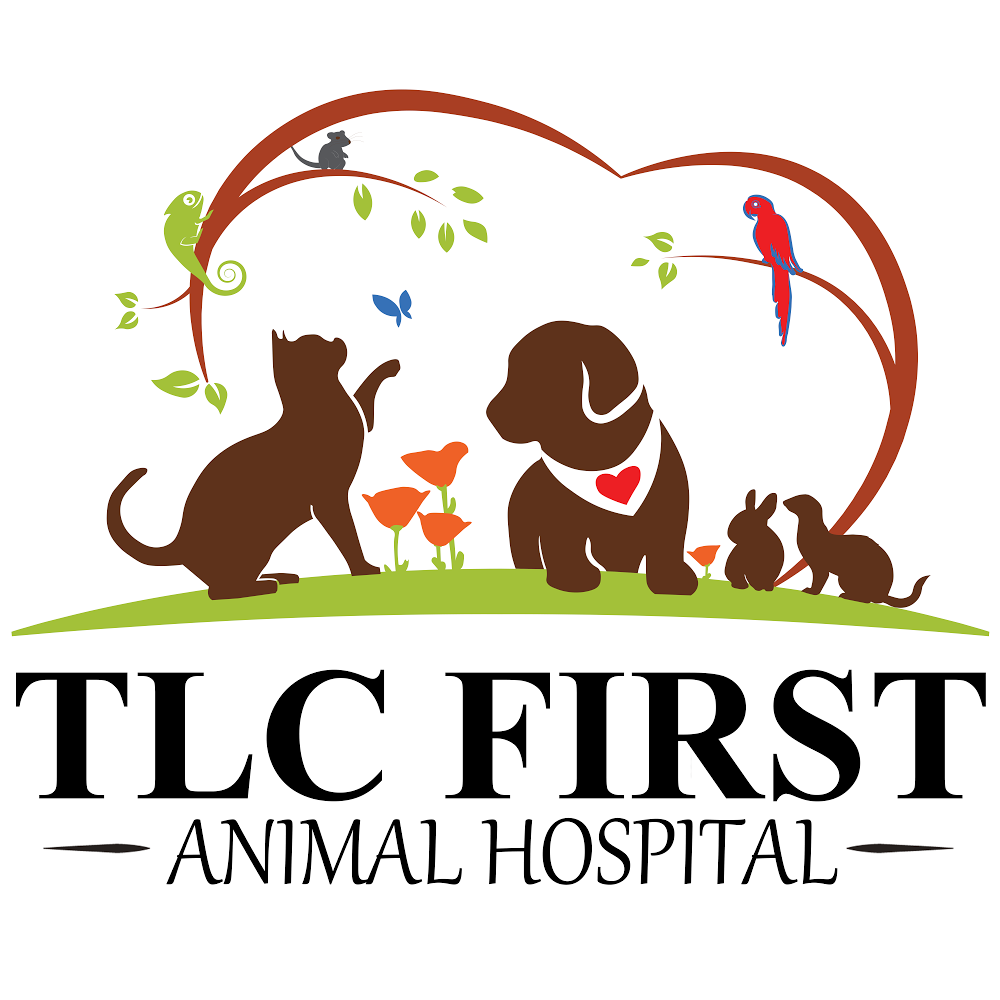 TLC First Animal Hospital | 6468 N Milwaukee Ave, Chicago, IL 60631, USA | Phone: (773) 631-0706