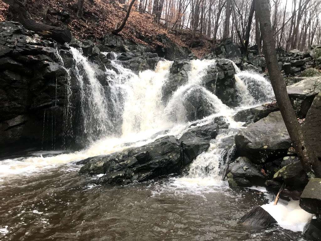 Kugler Woods Preserve | Stockton, NJ 08559