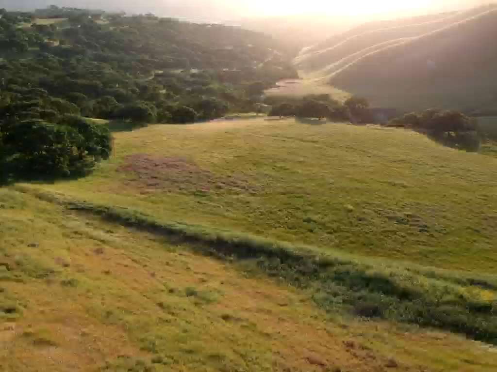 Top of the hill, DelValle Rd. | 10998-10672 Del Valle Rd, Livermore, CA 94550, USA