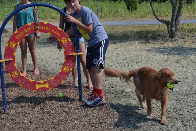 Orland Park "Dogout" Dog Park | 15600 West Ave, Orland Park, IL 60462, USA | Phone: (708) 403-6219