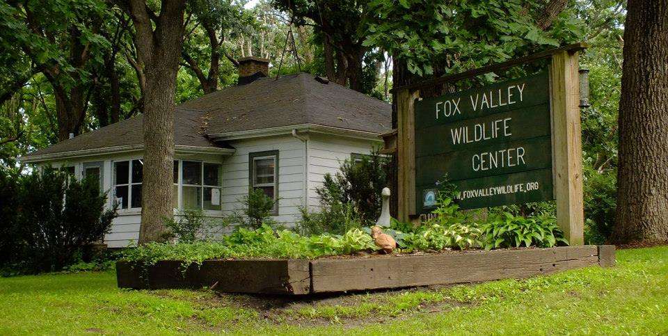 Fox Valley Wildlife Center | 45W061, IL-38, Elburn, IL 60119, USA | Phone: (630) 365-3800