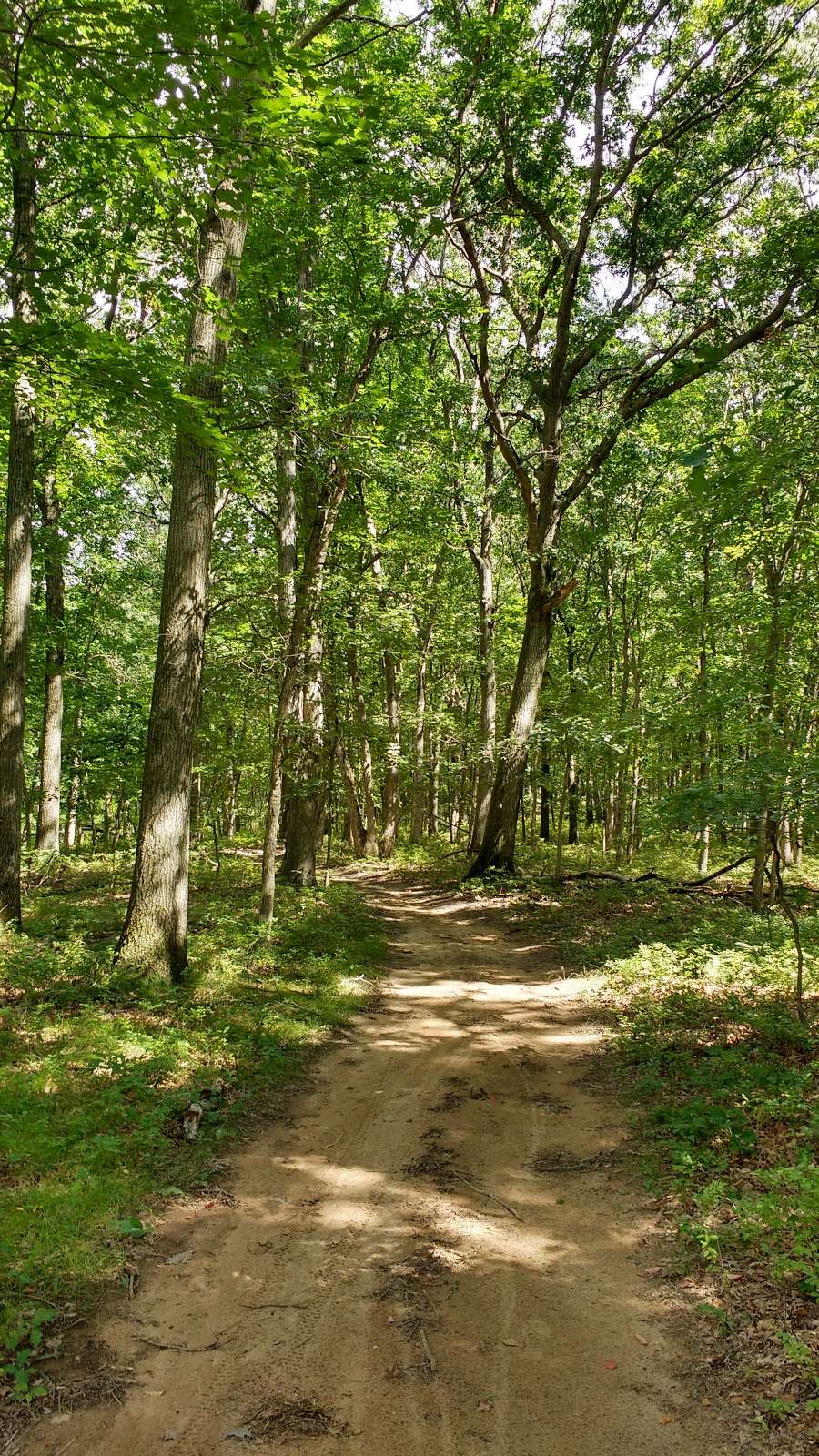 Tamarack Hollow Preserve | Hillcrest Ave, East Brunswick, NJ 08816, USA