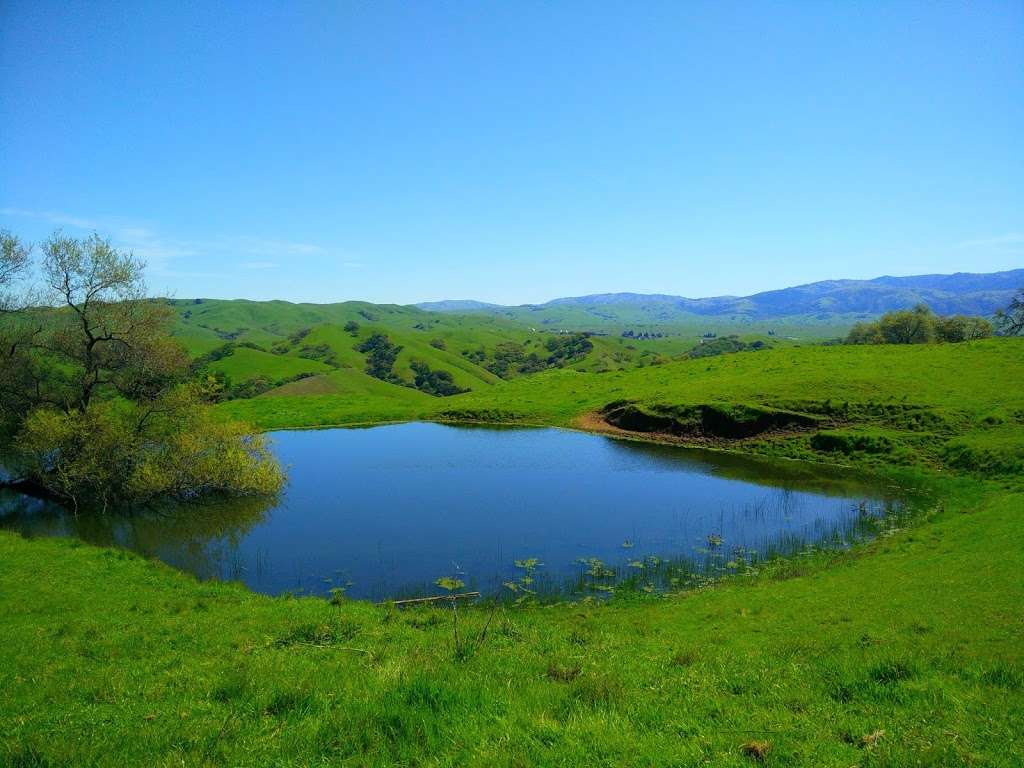 Meadow Pond | Woodland Trail, Sunol, CA 94586, USA