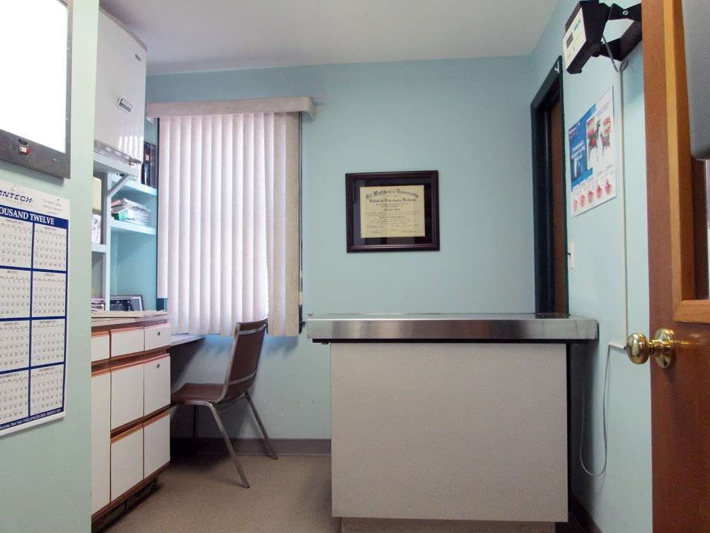 Oyster Bay Animal Hospital | 64 Pine Hollow Rd, Oyster Bay, NY 11771 | Phone: (516) 624-7387