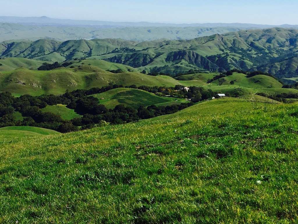 Mission Peak Paragliding and Hang Gliding Landing Zone | Fremont, CA 94539, USA | Phone: (510) 544-2222