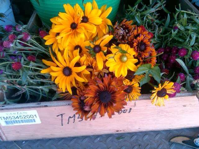The Flower Peddler | 176 Landis Ave, Bridgeton, NJ 08302, USA | Phone: (609) 381-3568