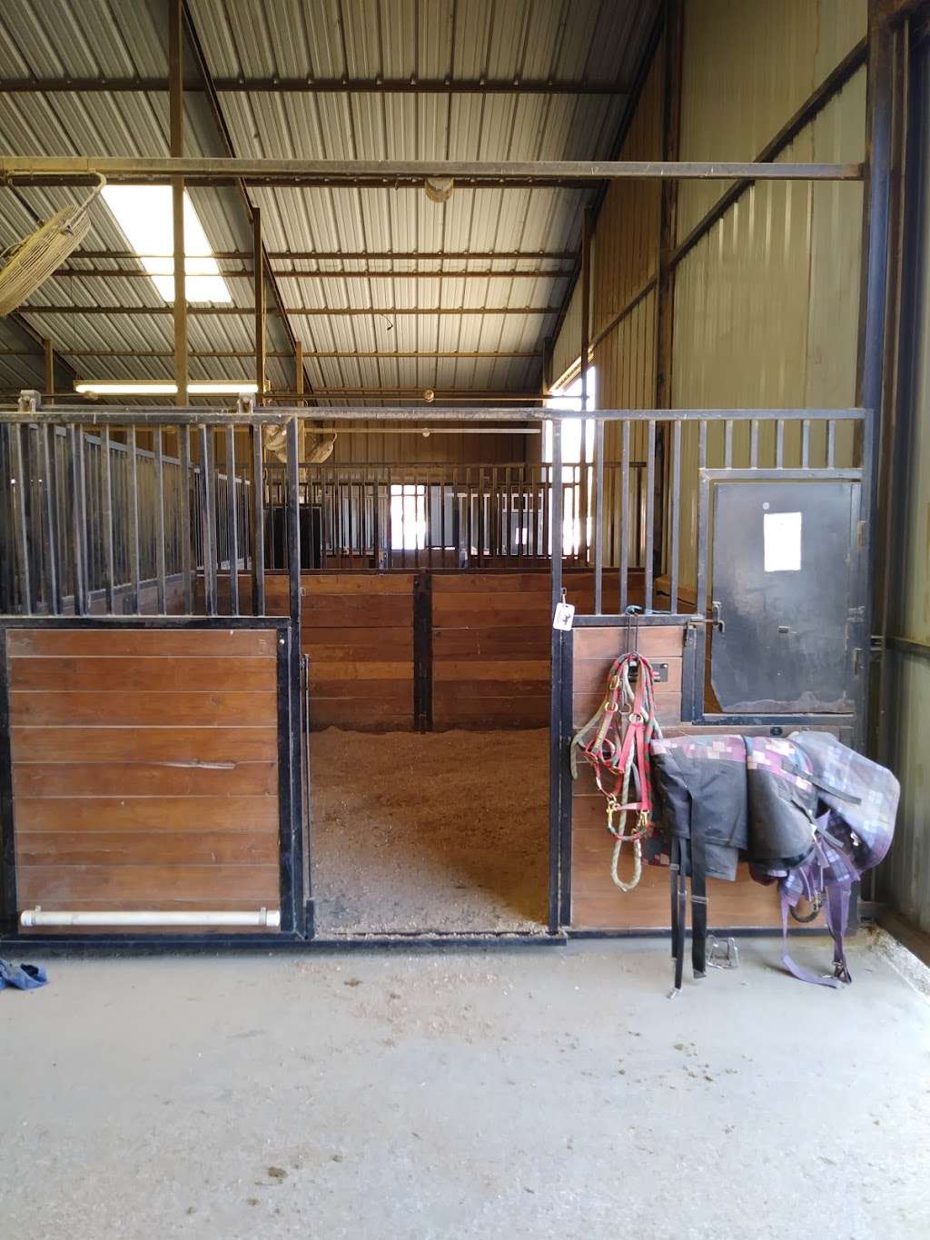 Becky Brown School of Horsemanship | 316 S Goode Rd, Wilmer, TX 75172, USA | Phone: (214) 718-0562