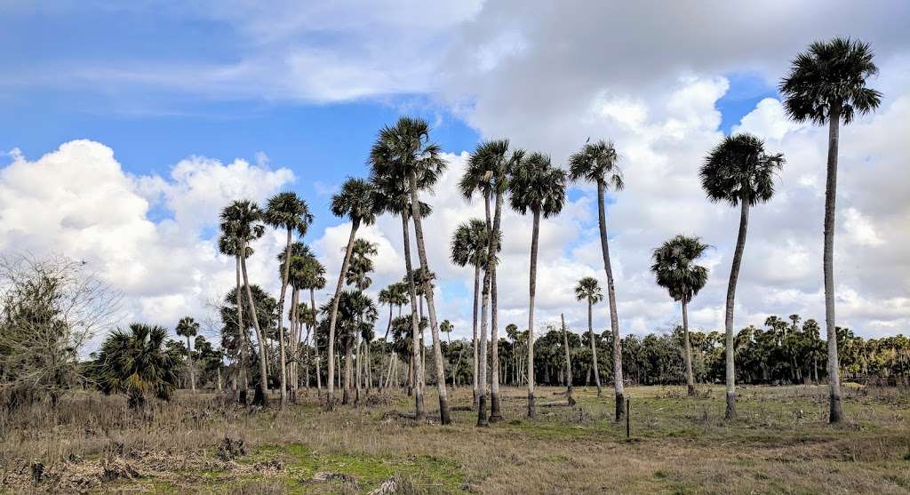 Brumley Rd Trailhead | 2500 Brumley Rd, Chuluota, FL 32766, USA