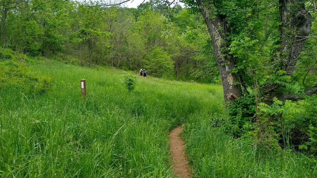 Trail head parking | Appalachian Trail, Linden, VA 22642, USA