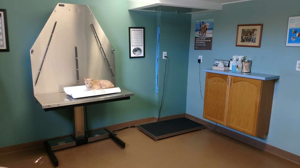 All Paws Veterinary Clinic | 1503, 3 Central Ave, Mays Landing, NJ 08330, USA | Phone: (609) 625-7001