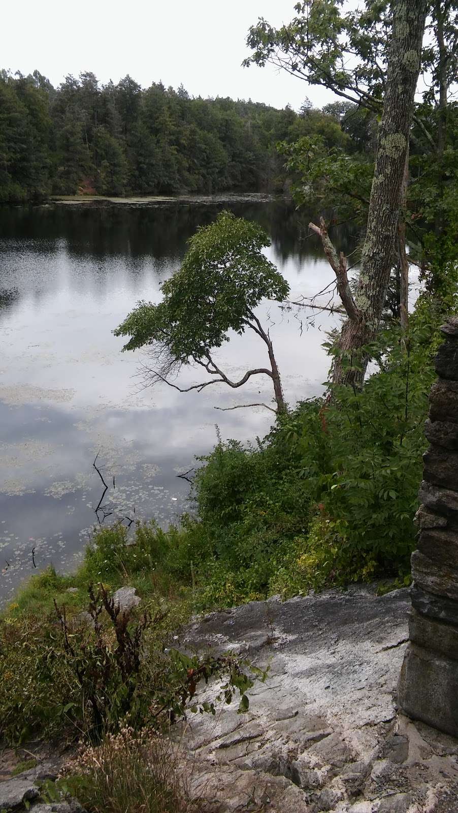 Pendleton Pond | Carmel Hamlet, NY 10512, USA