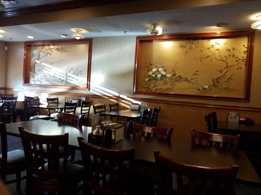 Asian Gourmet | 1207 Skokie Hwy, Gurnee, IL 60031, USA | Phone: (847) 249-9999