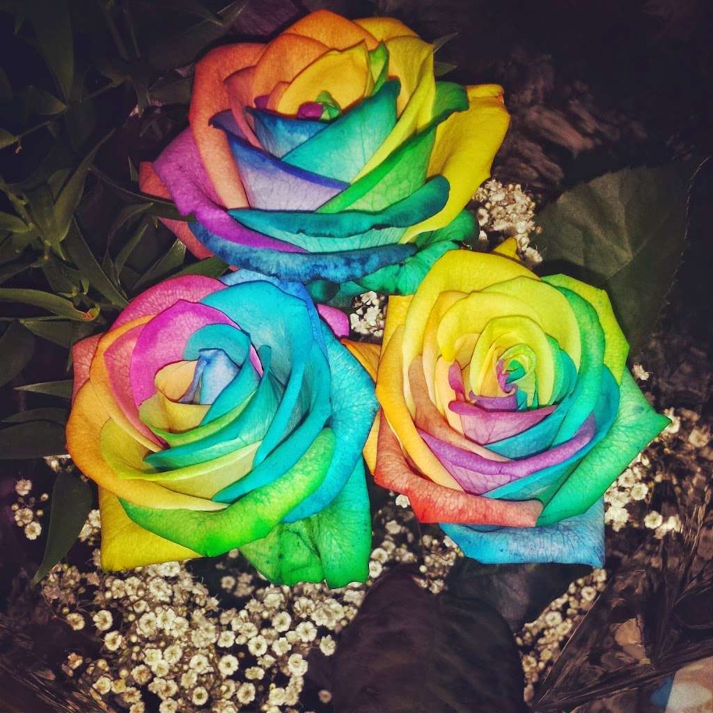 Wicks Florist, Fruitera & Greenhouse | 2170 Grand Ave, Baldwin, NY 11510, USA | Phone: (516) 223-8600