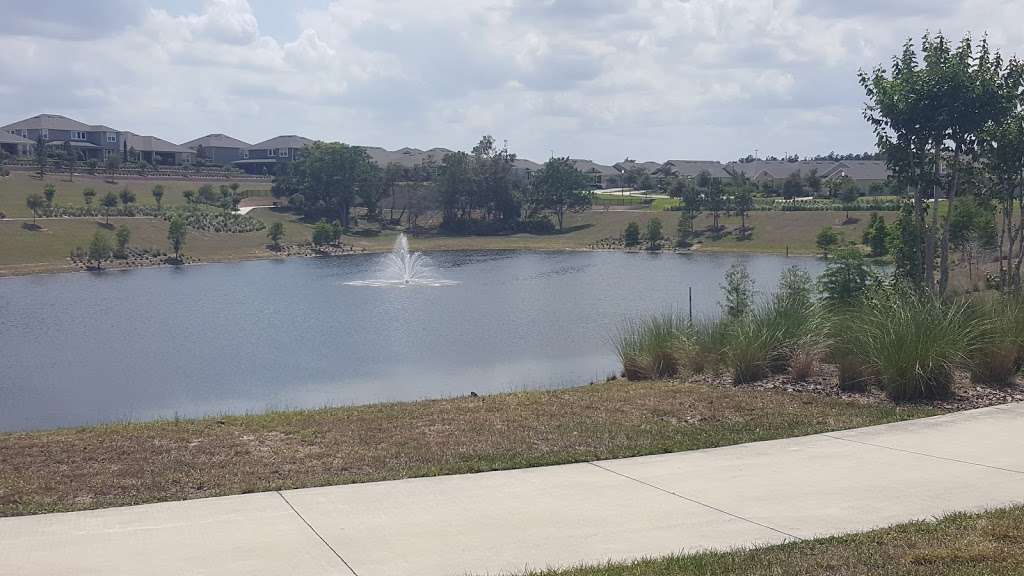 Overlook at Hamlin Amphitheatre | Winter Garden, FL 34787, USA