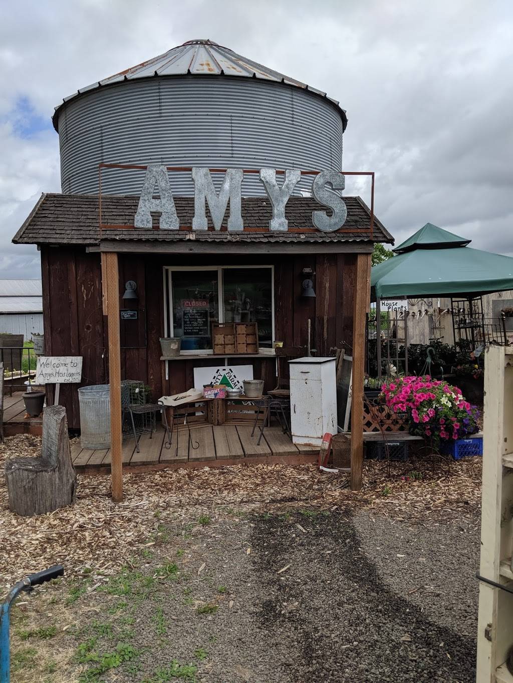 Purple Hen Flowers & Herbs | 20345 SW Scholls-Sherwood Rd, Sherwood, OR 97140, USA | Phone: (503) 936-3637