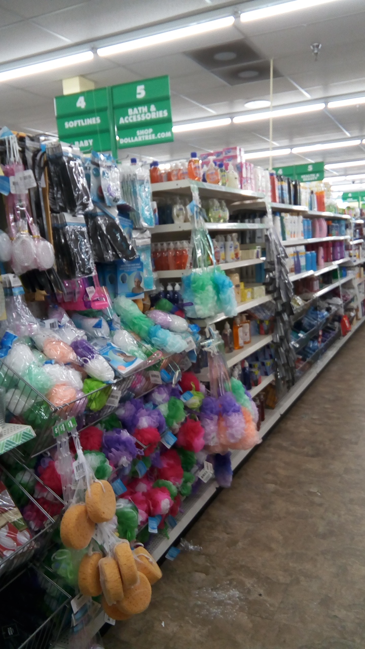 Dollar Tree | 433 E Sheridan St, Dania Beach, FL 33004, USA | Phone: (954) 923-1309