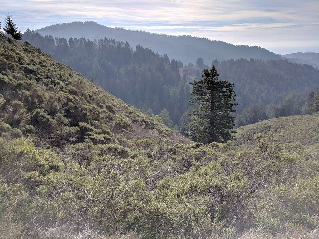 Purisima Creek Open Space North Parking Lot | 13184 Skyline Blvd, Redwood City, CA 94062, USA