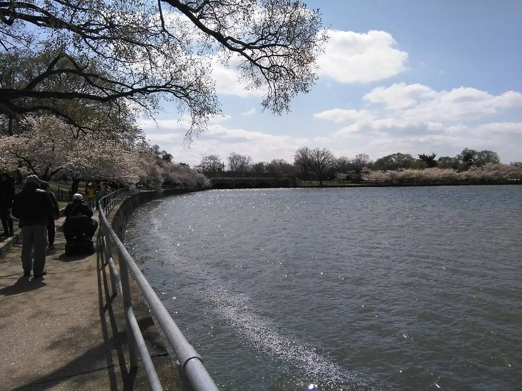 Tidal Basin Paddle Boats | 1501 Maine Ave SW, Washington, DC 20024, USA | Phone: (202) 337-9642