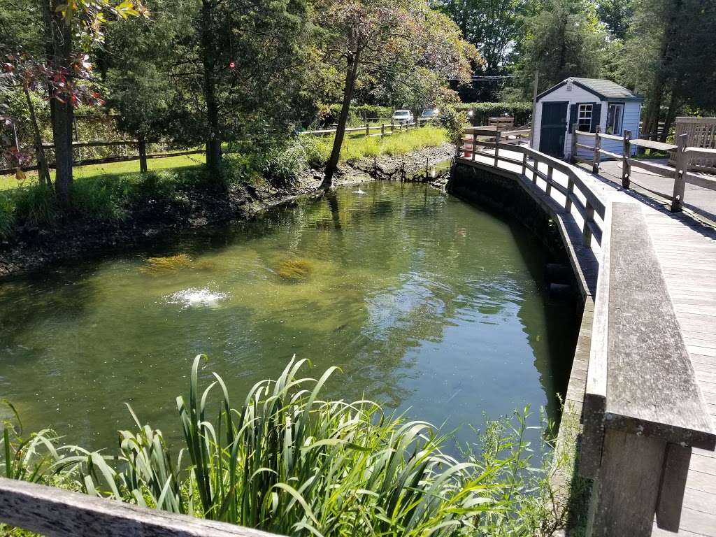 Cold Spring Harbor Fish Hatchery Aquarium 1660 Ny 25a Cold Spring Harbor Ny 11724 Usa
