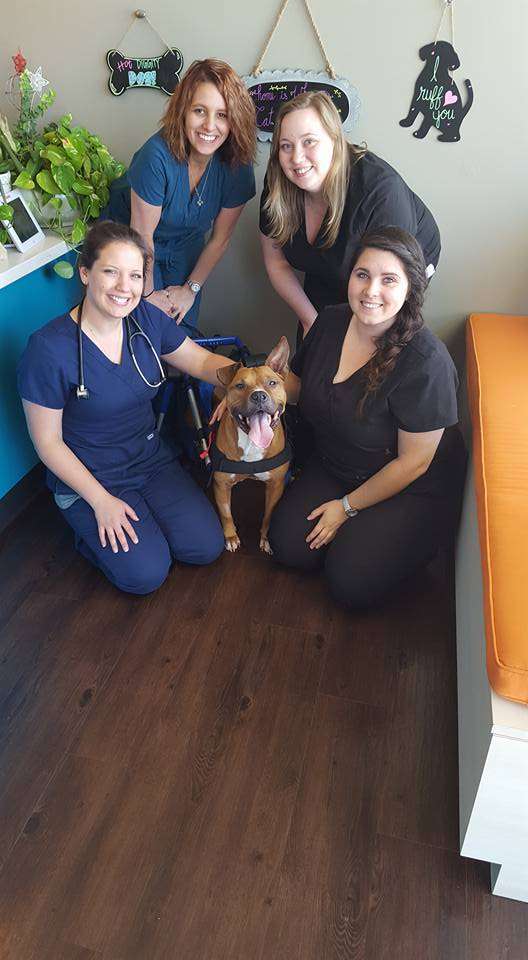 Long Meadow Veterinary Clinic | 7909 West Grand Parkway South #230, Richmond, TX 77407, USA | Phone: (832) 847-4170
