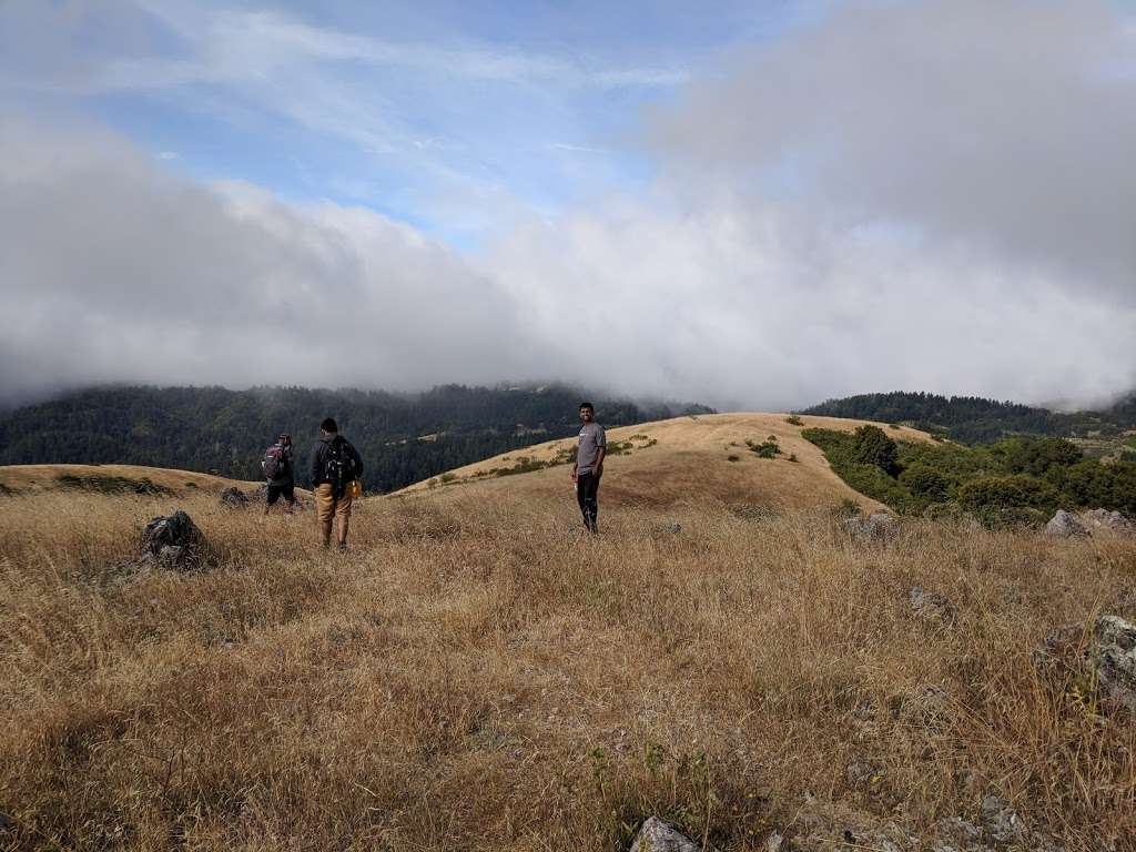 Black Mountain Peak | Black Mountain Trail, Los Altos, CA 94024, USA