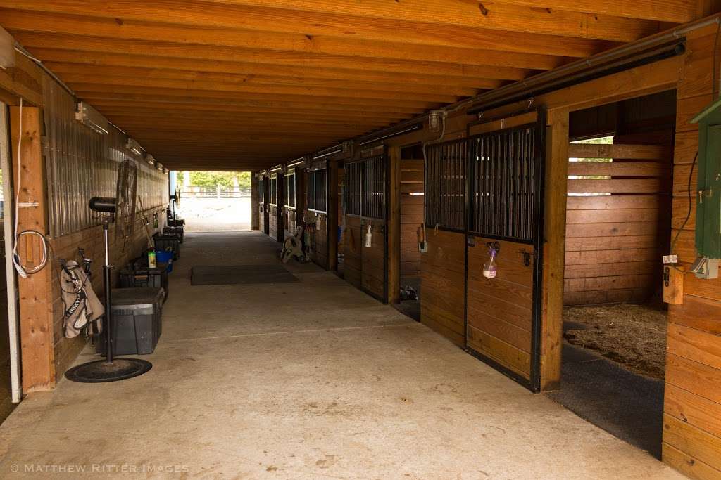 Mane View Stables | 24 Oriental Rd, Shamong, NJ 08088, USA | Phone: (609) 519-3934